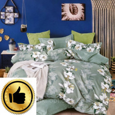 Постельное белье New Design (848)